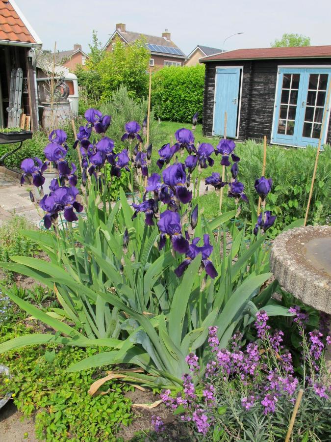 De Slaapmus Bed & Breakfast Boven-Leeuwen Luaran gambar